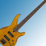 Bass Guitar