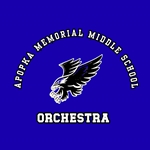 AMMS Orchestra