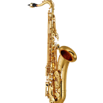 YTS480 Intermediate Bb Tenor Sax, Lacquer, 62 Style Neck, Low B-C# Connection, High F#, Front F, Rocker Type Low B Mechanism, 4C Mouthpiece, Case
