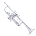 Bach AC190S Pro C Trumpet
