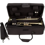 IP301D Double Trumpet IPAC Case