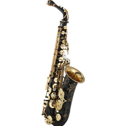 YAS875EXIIB Custom Eb Alto Sax, Black Lacquer, V1 Neck, Ribbed & Flanged Posts, Annealed Body/Bow/Bell, Rocker Style Octave Mechanism, 4CM Mouthpiece, Case
