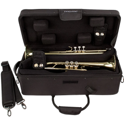 IP301D Double Trumpet IPAC Case